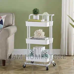 Movable Storage Organizer