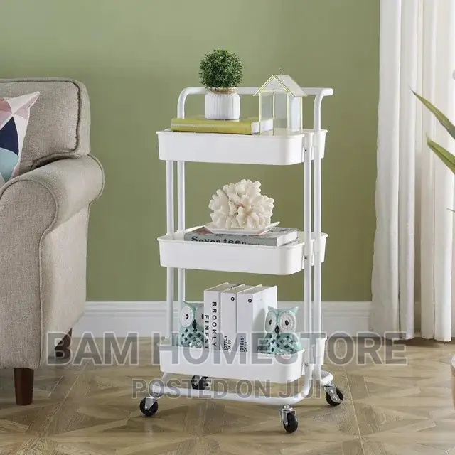 Movable Storage Organizer