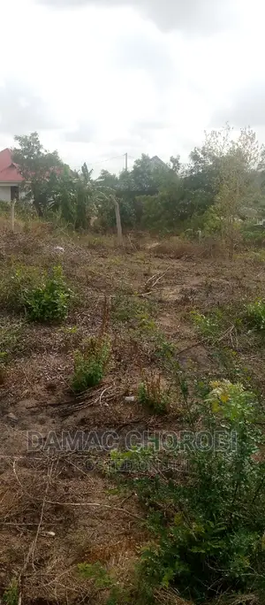 Kiwanja Bora Kwa Makazi QMT 1339