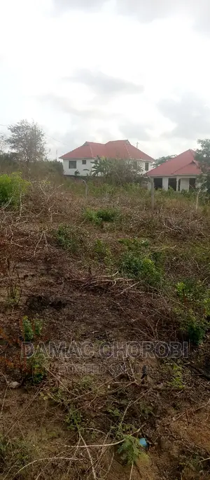 Kiwanja Bora Kwa Makazi QMT 1339