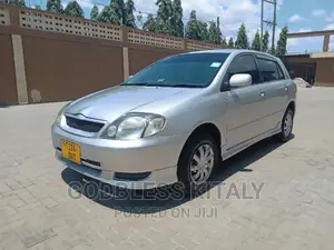 Toyota Allex 2002 Silver