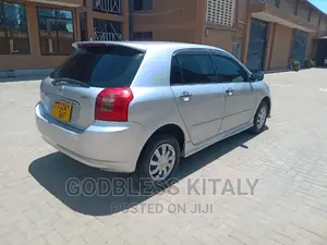 Toyota Allex 2002 Silver