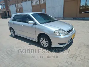 Toyota Allex 2002 Silver