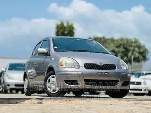 Toyota Vitz 2003 Gray