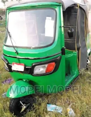 TVS 2020 Green