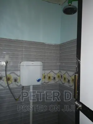 1bdrm Apartment in Ilala for rent