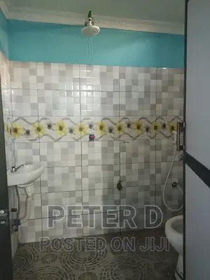 1bdrm Apartment in Ilala for rent