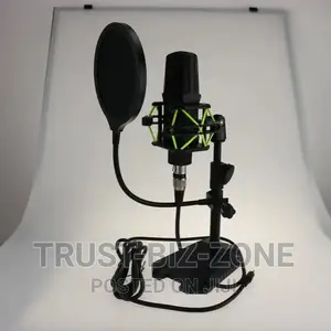 Table Top Microphone Recording Condenser