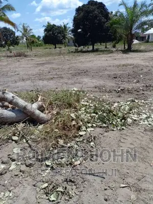 Viwanja Vinauzwa Ml 3.5 Chanika Masantura.