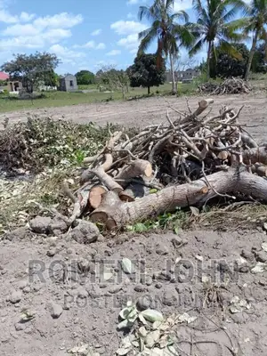 Viwanja Vinauzwa Ml 3.5 Chanika Masantura.