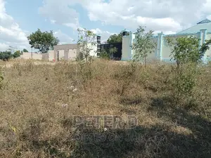 Viwanja Vilivyopimwa