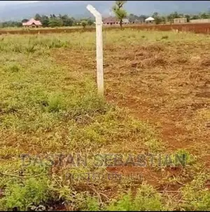 Jipatie Viwanja Arusha Na Boma Ng'ombe