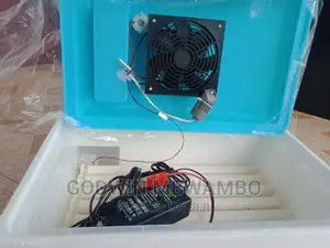 Tunauza Mashine Za Solar Na Umeme Za Kutotoleshea Vifaranga