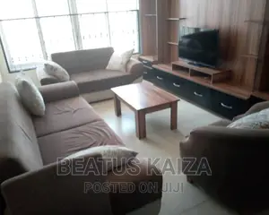 Furnished 3bdrm Apartment in Kariakoo Amani for rent