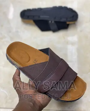 MENS Sandals Timberland Coffee