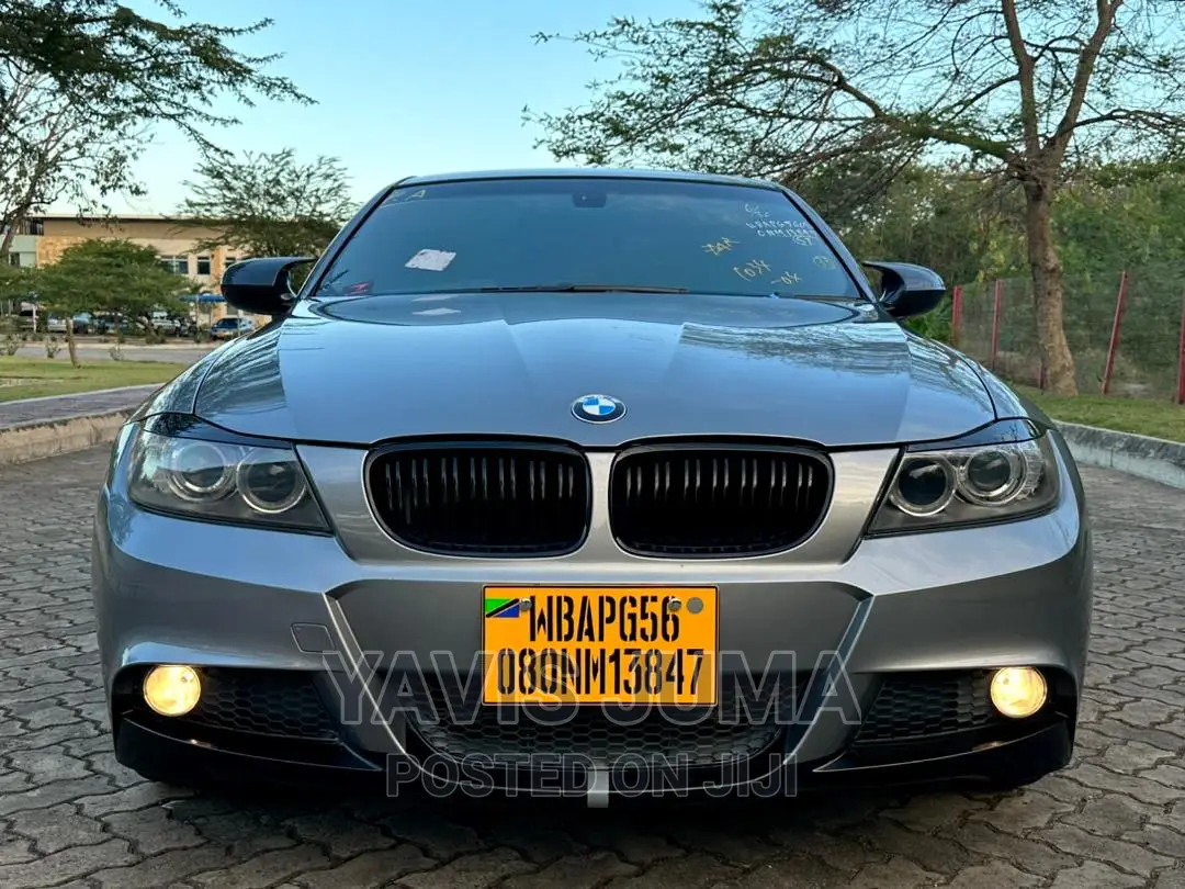 BMW 320i 2010 Gray