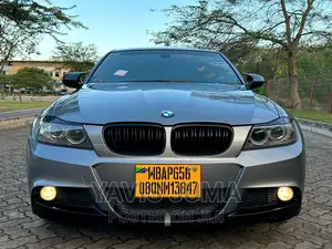 BMW 320i 2010 Gray