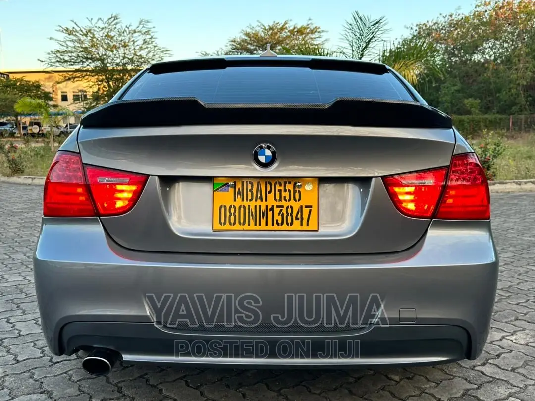 BMW 320i 2010 Gray