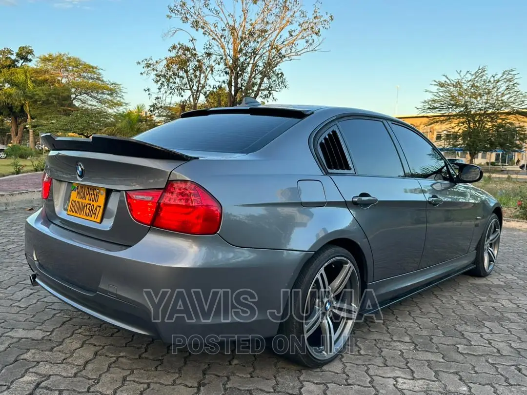 BMW 320i 2010 Gray