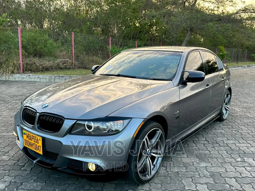 BMW 320i 2010 Gray