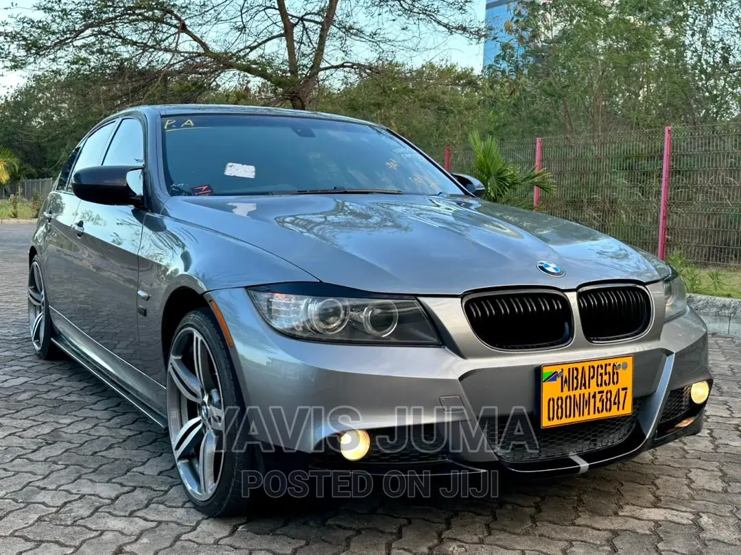 BMW 320i 2010 Gray