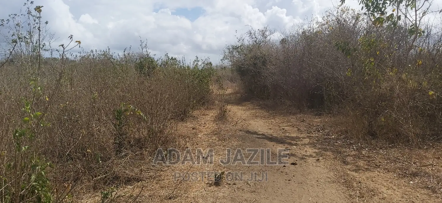 Shamba La Ekari 20 Linauzwa Bago Kiwangwa