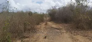 Shamba La Ekari 20 Linauzwa Bago Kiwangwa