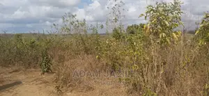 Shamba La Ekari 20 Linauzwa Bago Kiwangwa