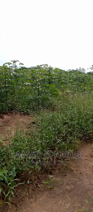 Industrial Plot for Sale Loction Visiga Kibaha