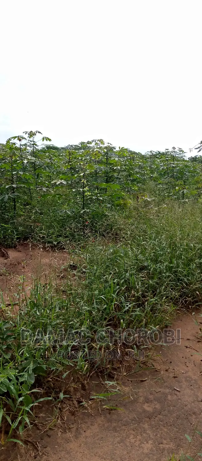 Industrial Plot for Sale Loction Visiga Kibaha