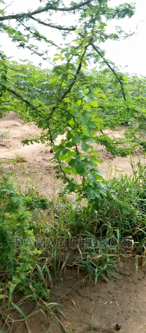 Industrial Plot for Sale Loction Visiga Kibaha