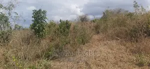 Shamba La Ekari 20 Linauzwa Kiwangwa Bago