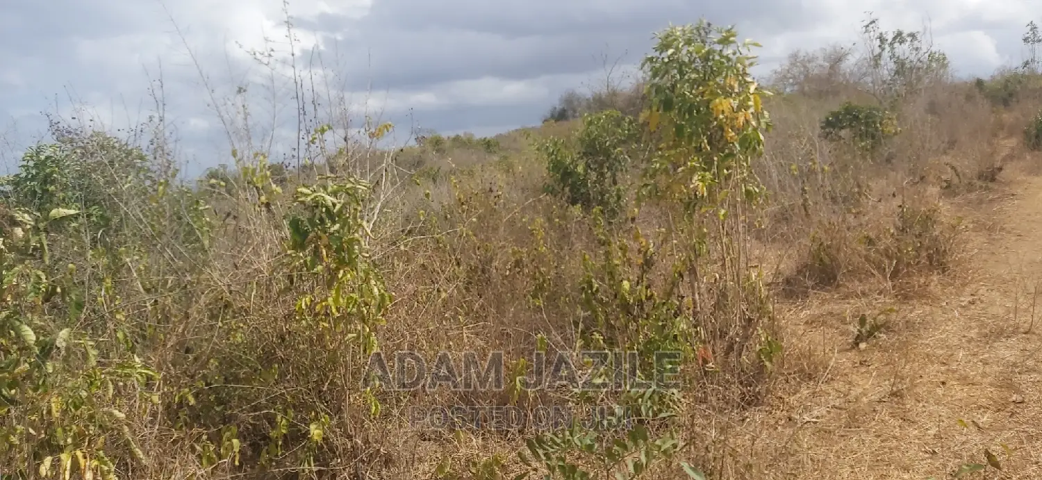 Shamba La Ekari 20 Linauzwa Kiwangwa Bago