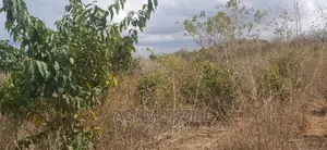 Shamba La Ekari 20 Linauzwa Kiwangwa Bago