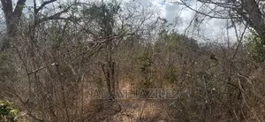 Shamba La Ekari 20 Linauzwa Kiwangwa Bago