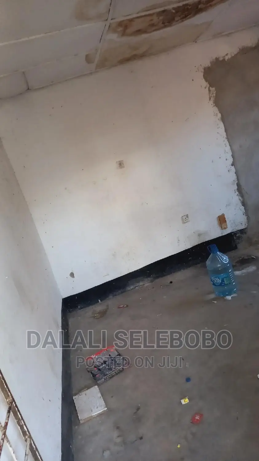 Frem Ya Duka La Mangi Sinza Palestina