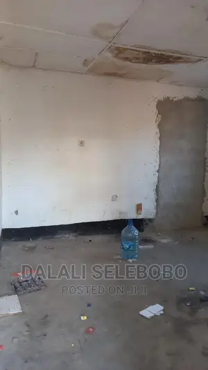Frem Ya Duka La Mangi Sinza Palestina