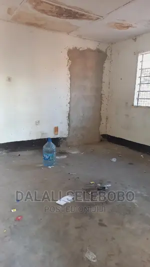 Frem Ya Duka La Mangi Sinza Palestina