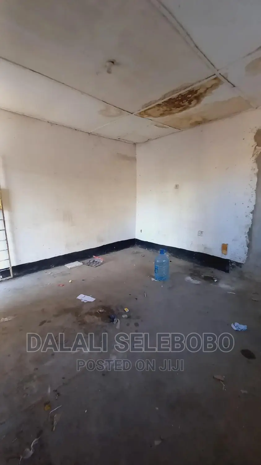 Frem Ya Duka La Mangi Sinza Palestina