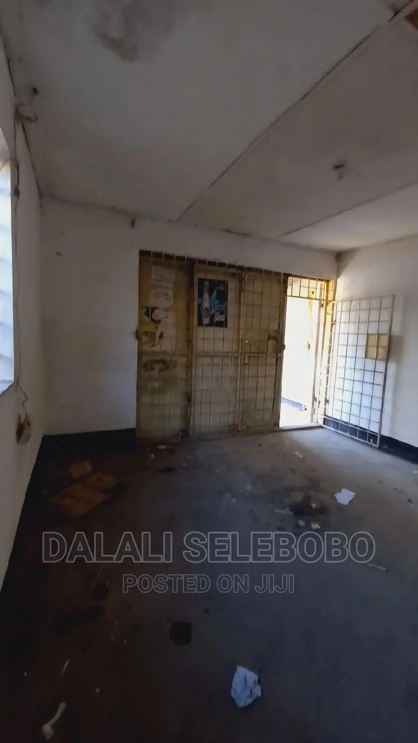 Frem Ya Duka La Mangi Sinza Palestina