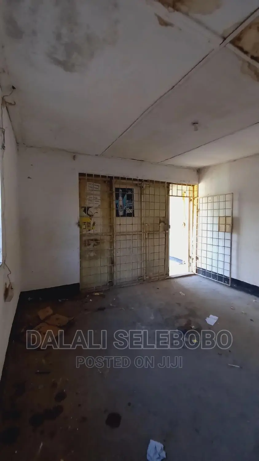 Frem Ya Duka La Mangi Sinza Palestina