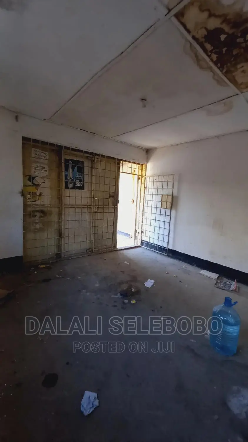 Frem Ya Duka La Mangi Sinza Palestina