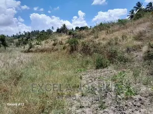Eneo/Shamba Linauzwa Mlamleni Wilaya Ya Mkuranga