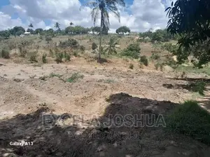 Eneo/Shamba Linauzwa Mlamleni Wilaya Ya Mkuranga