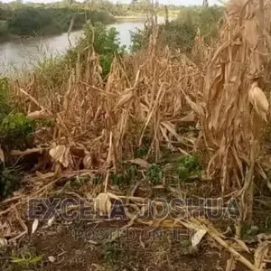 Shama LA Ekari 100 Linauzwa Kijiji Cha Mwitemo Kiwangwa