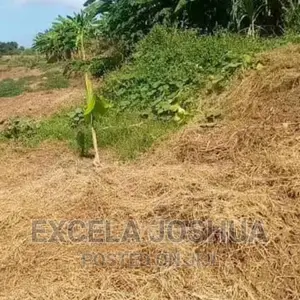 Shama LA Ekari 100 Linauzwa Kijiji Cha Mwitemo Kiwangwa