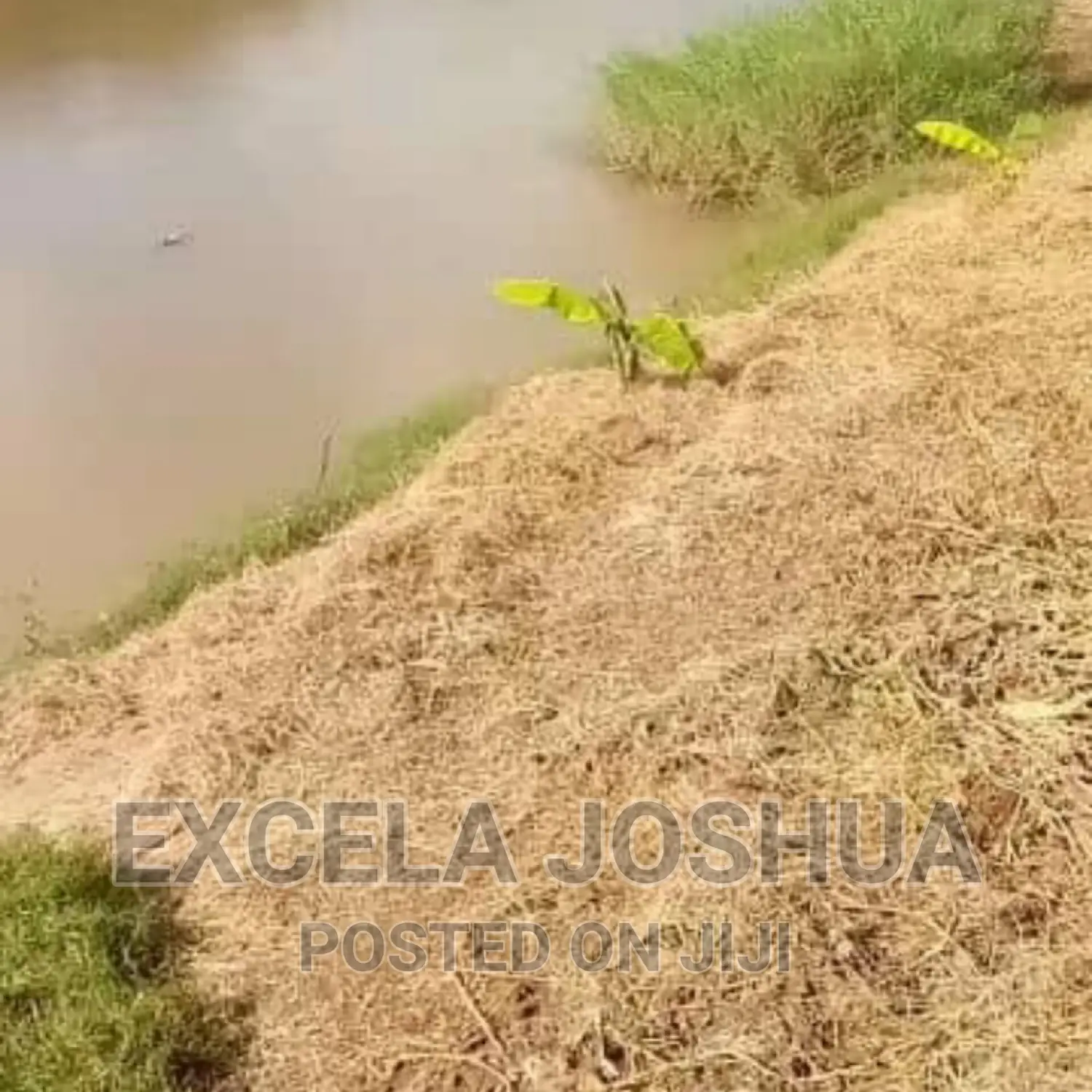 Shama LA Ekari 100 Linauzwa Kijiji Cha Mwitemo Kiwangwa