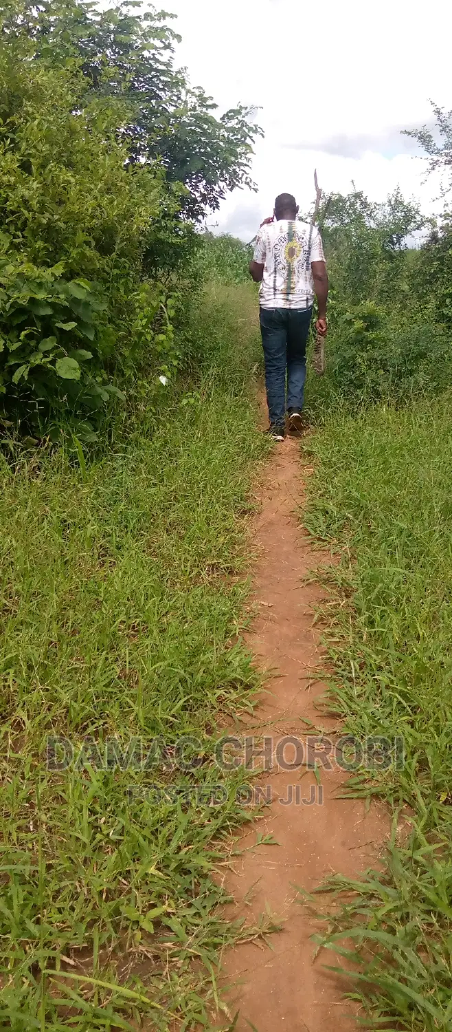 Farm for Sale Location Pangani Tanga