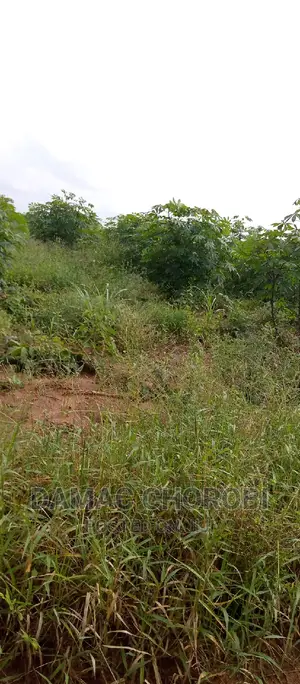 Farm for Sale Location Pangani Tanga