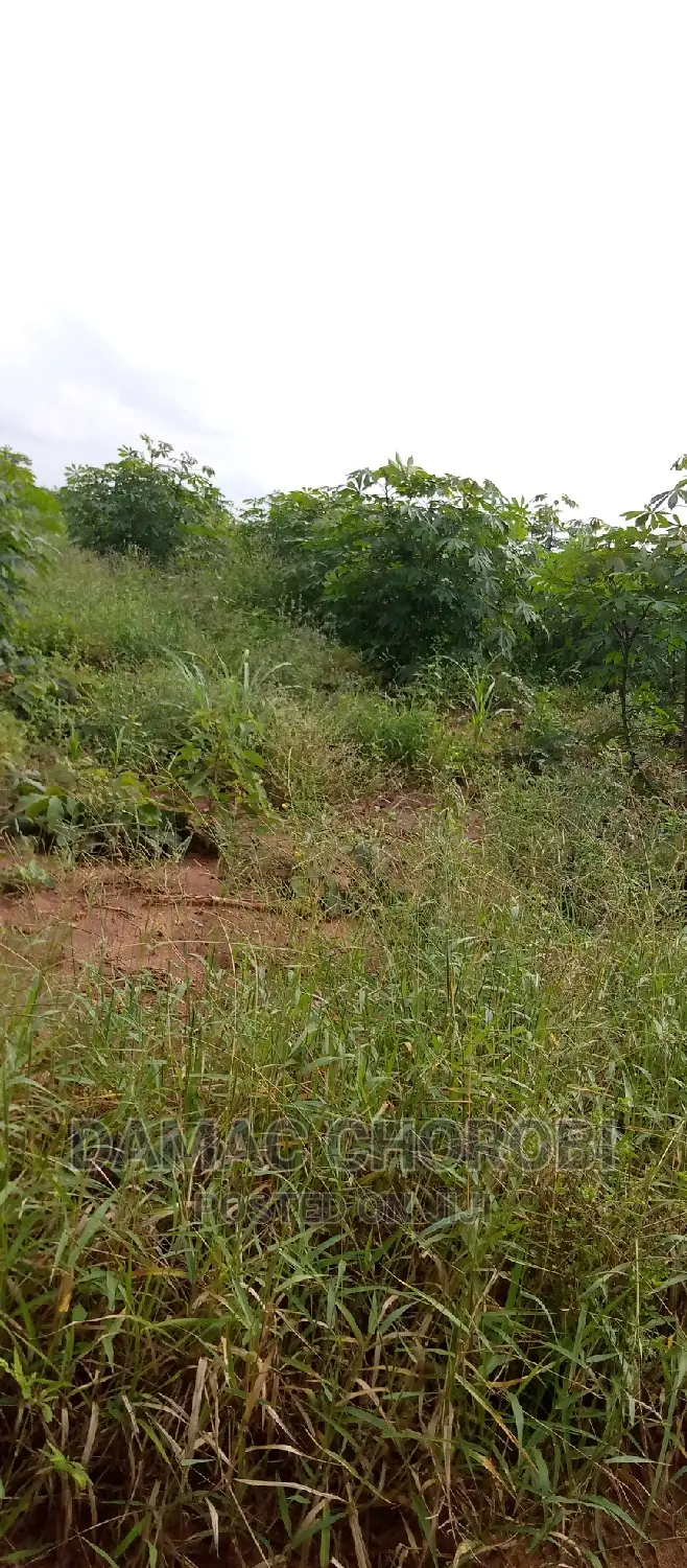 Farm for Sale Location Pangani Tanga